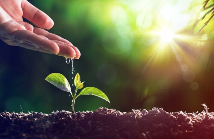 8 Fantastic (and Frugal) Earth Day Ideas 8 Fantastic (and Frugal) Earth Day Ideas